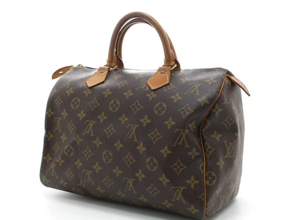 Louis Vuitton Monogram Speedy Handbag Brown